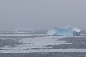 Buckle Island