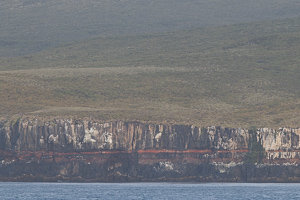 Campbell Island