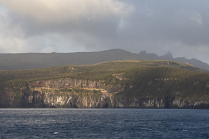 Campbell Island