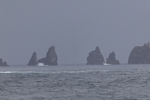 Snares Island