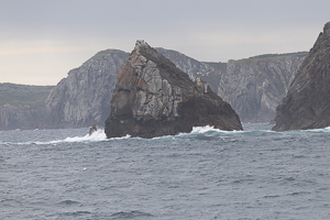 Snares Island
